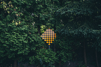 Trees, Miscellanea, Miscellaneous, Forest, Sign HD wallpaper