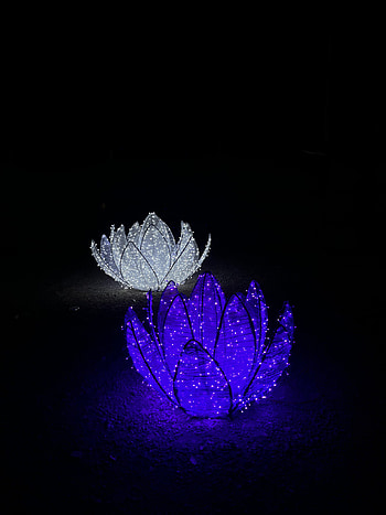 Night light, unique, nightlights HD phone wallpaper