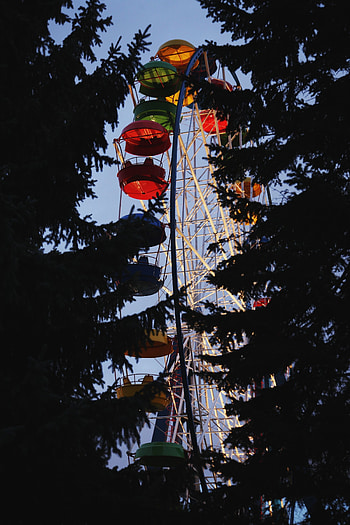 Cities, Trees, Dark, Construction, Design, Ferris Wheel, Attraction HD phone wallpaper