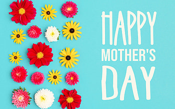 Happy Mothers Day, greeting card, blue background, different flowers, Happy Mothers Day congratulations HD wallpaper