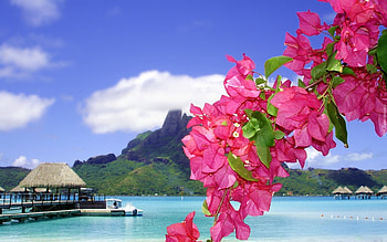 Tropicana, oceans, graphy, beaches, nature, sky, mountains, beauty HD wallpaper
