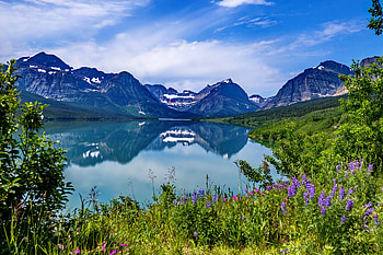 Lake Sherburne, Glacier NP, lake, wildflowers, national park, reflection, Canada, grass, beautiful, sky HD wallpaper