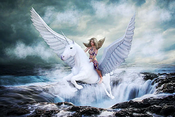 Pegasus, waves, horse, wings, sea, painting, clouds HD wallpaper
