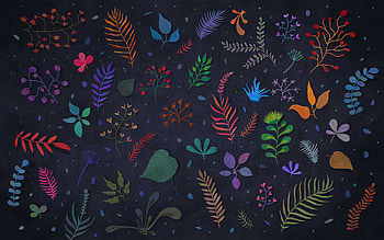 background with colorful leaves, texture with leaves, retro leaves background, leaves texture, leaves background HD wallpaper