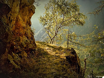 view, autumn, mauntains, rock, tree HD wallpaper