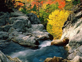 brook, nature HD wallpaper