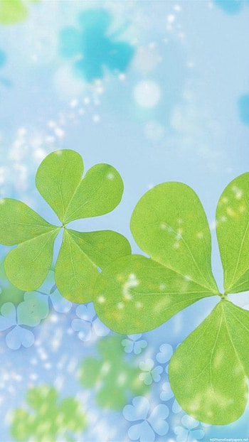 cool shine leaves bright 6 - 6 Plus backgrounds HD phone wallpaper