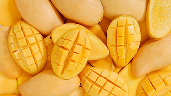 Can chickens eat mangoes?, Nutritious snack, Natural food for chickens, Fun facts HD wallpaper