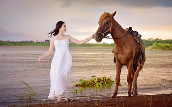 Fallow me!, animal, white, horse, model, girl, dress, woman, summer, water HD wallpaper