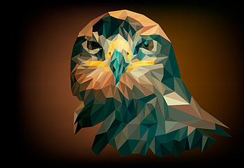 Eagle, muzzle, low poly, abstract HD wallpaper