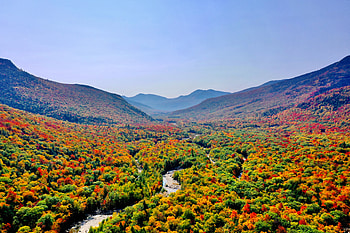 Nature, Rivers, Trees, Mountains, Autumn, Forest HD wallpaper
