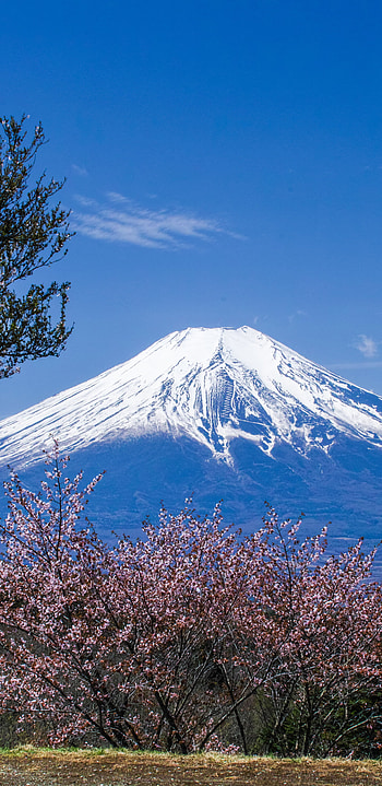 Mount Fuji, Travels, Earth HD phone wallpaper