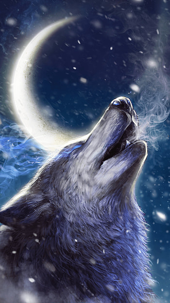 Android wolf , Customizable backgrounds, User-friendly interface, Mobile style HD phone wallpaper