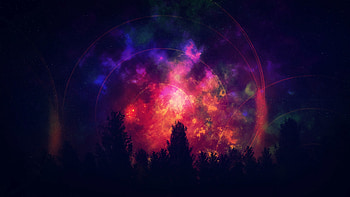 Dark, Bright, Wood, Multicolored, Motley, Tree, Starry Sky, Outlines HD wallpaper