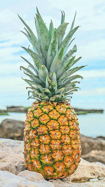 Top 20 , Pineapple , Fresh, Tropical HD phone wallpaper
