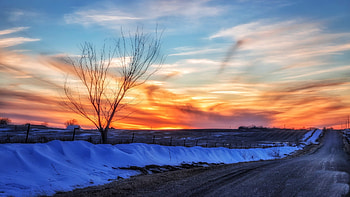 Winter Sunset, winter, snow, colors, clouds, landscape, road, sky, tree HD wallpaper