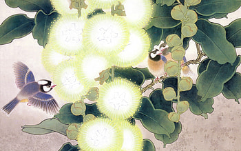 Starburst Flower Love Birds, lovebirds, abstract, bluebird, other, white starburst flowers HD wallpaper