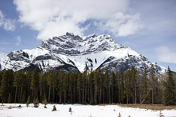 Nature, Trees, Sky, Snow, Mountain, Vertex, Top HD wallpaper