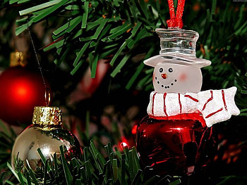Christmas Tree, christmas - tree - lights - holidays HD wallpaper