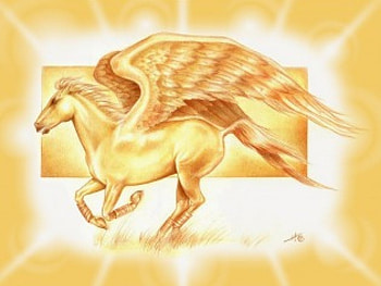 the gold pegeuses, white, gold HD wallpaper