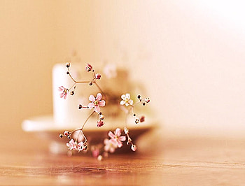 A touch of cherry, pink cup, delicate, cherry, blossom HD wallpaper