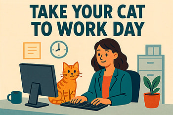 Ultra : Cat in Office on Take Your Cat to Work Day, cat, office, woman, computer HD wallpaper