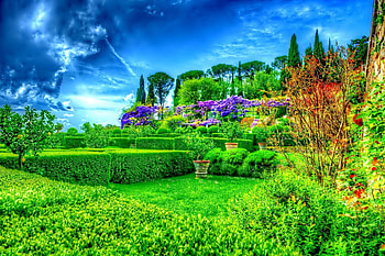 Stunning Garden in Green Nature, green nature, colorful, fower, garden, dark sky, park HD wallpaper