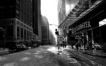 New York Streets, Travels, Monochrome, Snow HD wallpaper