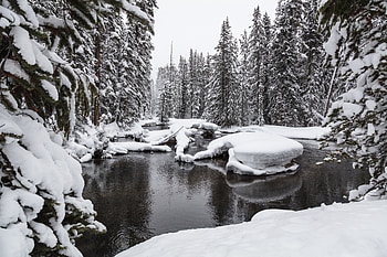 Nature, Water, Snow, Forest HD wallpaper