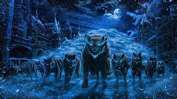 Magical Forest Wolves, wolves, artwork, artist, digital-art HD wallpaper