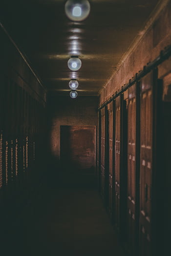 A dimly lit hallway with rustic wooden doors, casting shadows for an eerie atmosphere. HD phone wallpaper