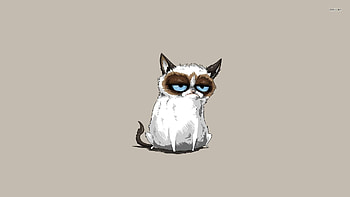 Cat Â· Grumpy Cat Background with ... HD wallpaper