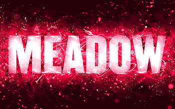 Happy Birtay Meadow, , pink neon lights, Meadow name, creative, Meadow Happy Birtay, Meadow Birtay, popular american female names, with Meadow name, Meadow HD wallpaper