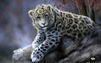Snow leopard, spot, animal, rendering, blue eyes, art, alenaekaterinburg, digital, luminos HD wallpaper