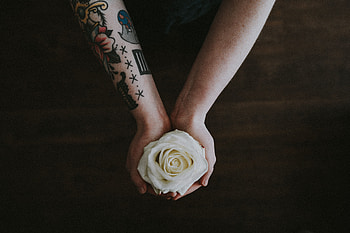 Flowers, Flower, Rose Flower, Rose, Bud, Hands, Tattoo HD wallpaper