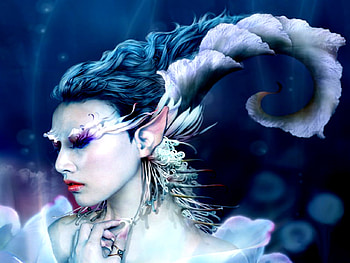 Elf. jpg, wild, elf, crazy, fantasy HD wallpaper