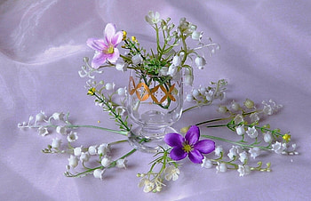 Soft beauty, golden, white, graphy, soft, spring, beauty, purple, still life, pink, delicate, petals, glass, flowers, lilies of the valley HD wallpaper