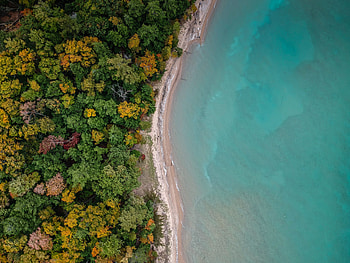 Bird's eye view, coast, blue sea, tree HD wallpaper