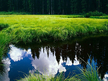 Reflection of sky, guillaume, green, landspace, grase, lake HD wallpaper