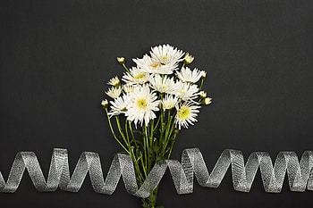 Flowers, Chrysanthemum, Bouquet, Tape HD wallpaper