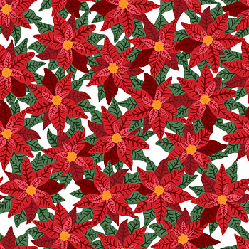 Artwork, Poinsettia HD phone wallpaper