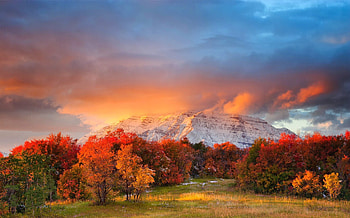 Early Winter Storm Over Mt. Timpanogos, meadows, snowy peaks, beautiful, autumn colors, clouds, Wasatch Mountains, sky, Utah, forest, sunset HD wallpaper
