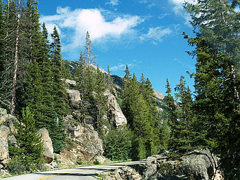 Going For a Ride, trees, road, sky, mountain HD wallpaper