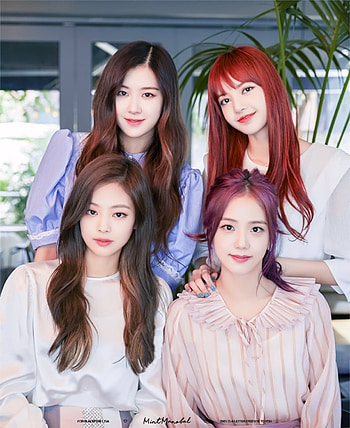 Blackpink, lip, eyebrow HD phone wallpaper