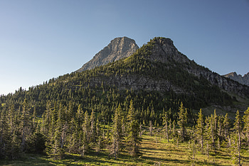 Nature, Trees, Sky, Mountains, Rocks, Spruce, Fir HD wallpaper