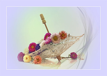Rain of flowers, tenderness, umbrella, magic, rain, colors, veil, beautiful, beauty, still life, delicate, flowers, harmony HD wallpaper