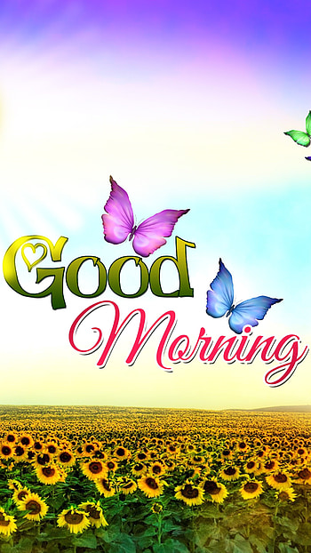 Good Morning, Butterflies, nature, background HD phone wallpaper