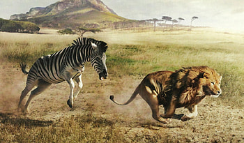 Real or Imagined? 2, animal, graphy, feline, lion, wide screen, wildlife, equine, , zebra HD wallpaper