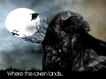 Where the raven lands, raven, bird, crow, poe HD wallpaper