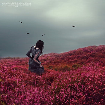 Lost in Paradise, lady, model, art, field HD wallpaper